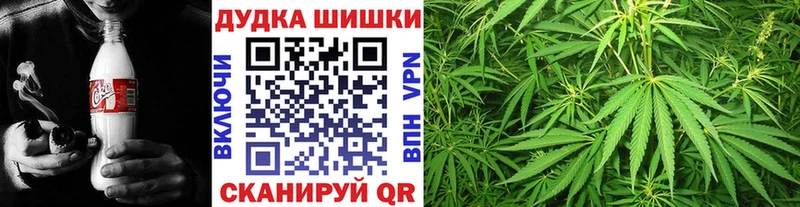 где можно купить   Венёв  Марихуана семена 